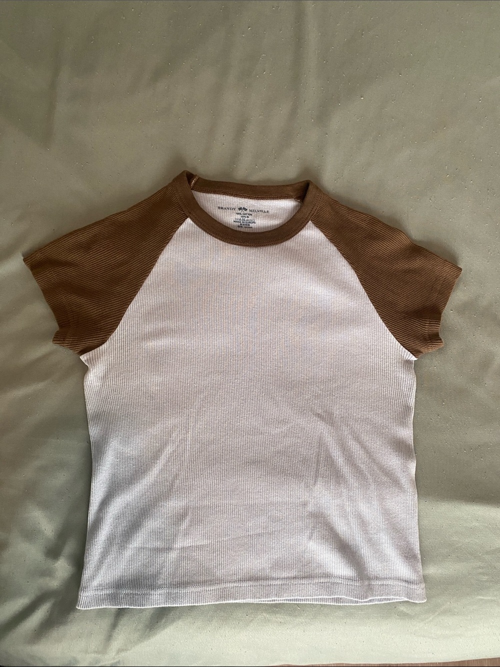 Brandy Melville Cotton Blue and Brown Baby Tee